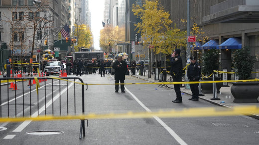 Persona and Executive Security Insight