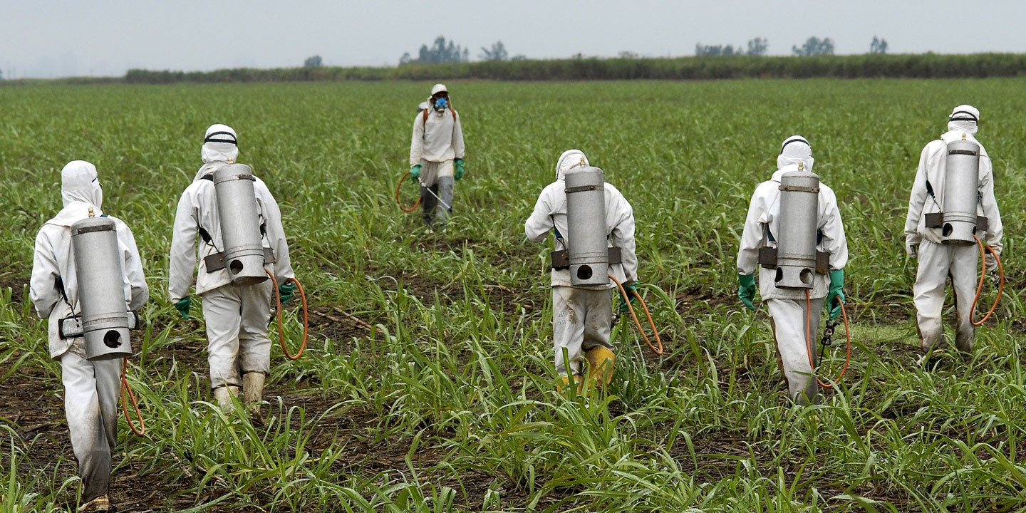 Agricultural PPE: Using a Working Gas Mask and Other Devices