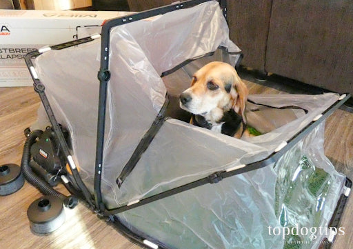 PET Gas Mask