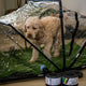 MIRA Safety First Breed Collapsible CBRN Animal Ark® Dog Gas Mask