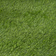 Closeup of the grass inside of the CBRN Animal Ark Dog Gas Mask