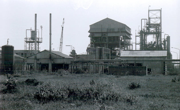 40 Years After Bhopal Gas Tragedy: Stories of Bhopal Disaster
