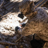Biohazard Cleanup – What You Need to Know