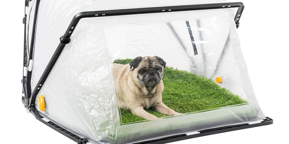 CBRN Pet Enclosure System: The Best Way to Protect Your Pets
