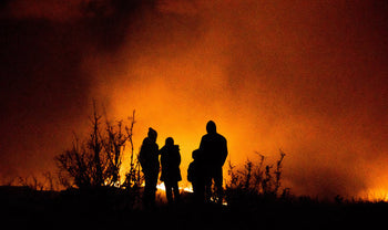 How to Survive a Wildfire (2026 Update)