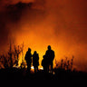 How to Survive a Wildfire (2026 Update)