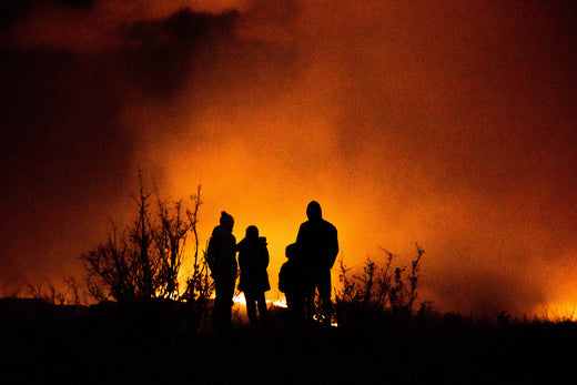 How to Survive a Wildfire (2026 Update)