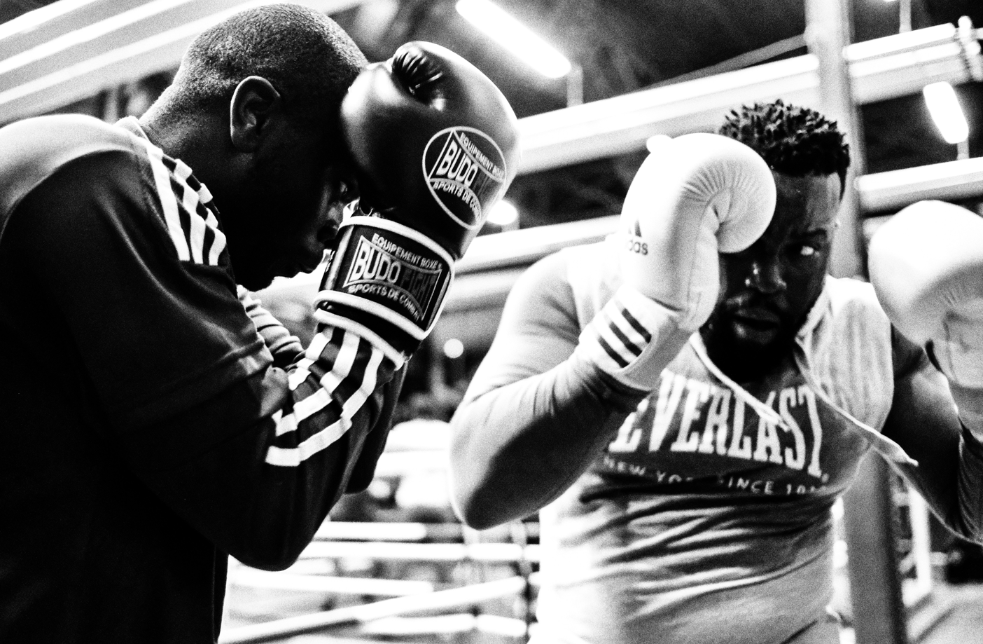 Mental Fortitude for Emergency Preparedness