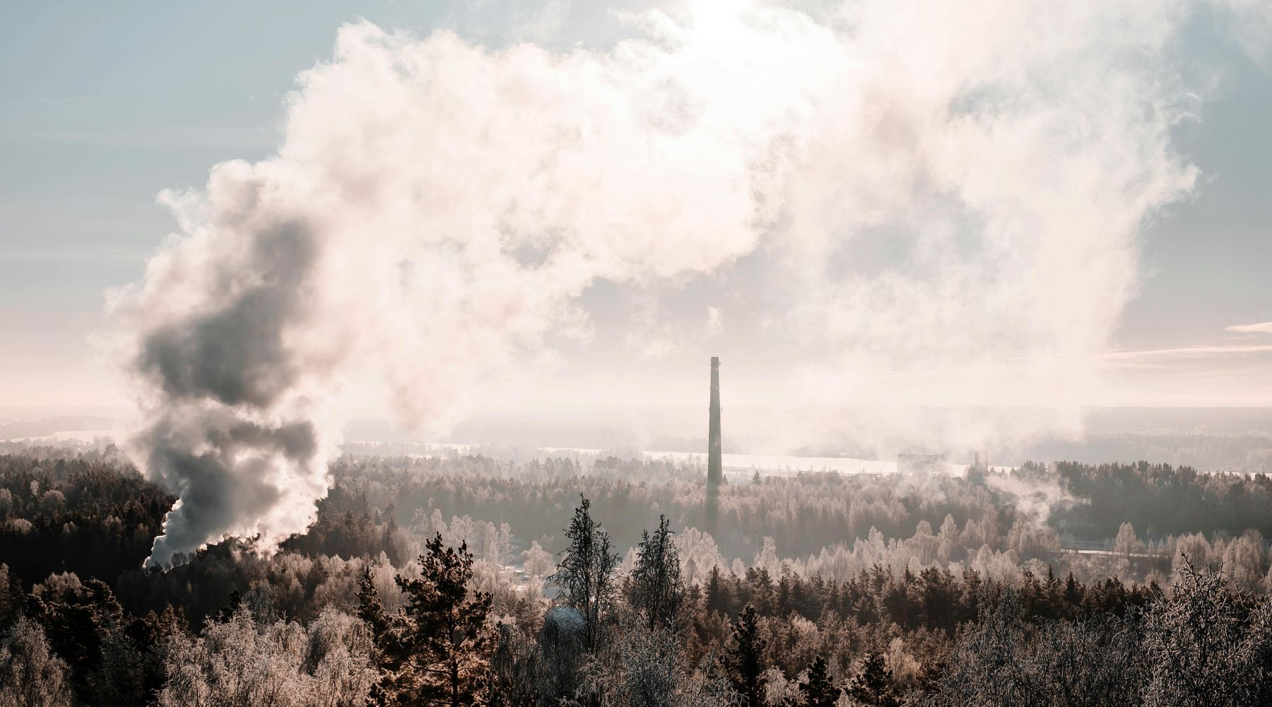Highly Toxic Gas Exposure: Understanding Hazardous Properties and Health Effects for Your Safety