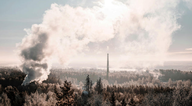 Highly Toxic Gas Exposure: Understanding Hazardous Properties and Health Effects for Your Safety