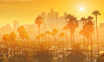 Long-term health effects of wildfire smoke on the human body