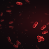 pneumonic plague bacteria