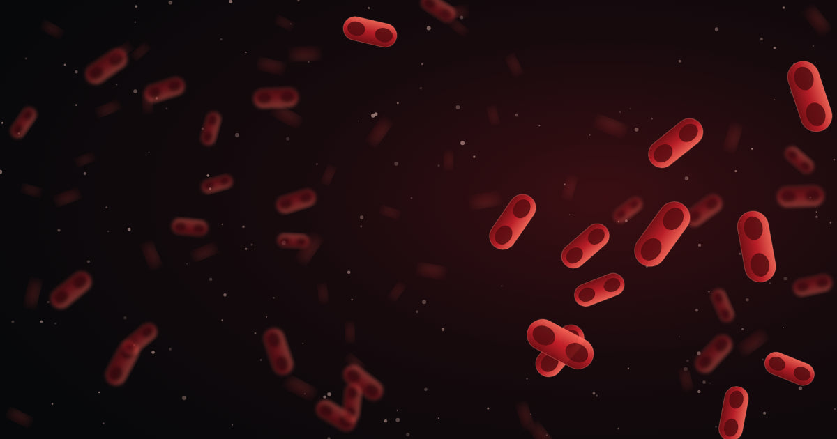 pneumonic plague bacteria