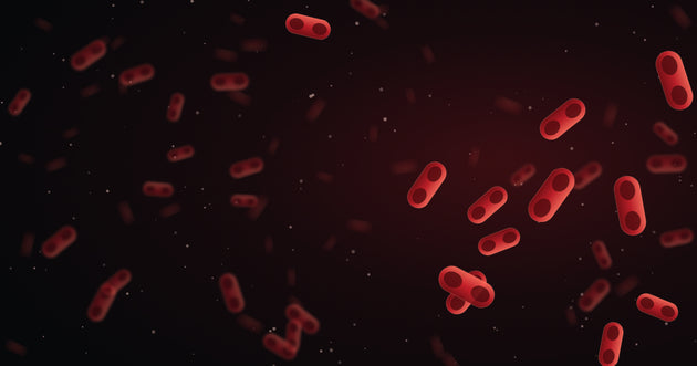 pneumonic plague bacteria