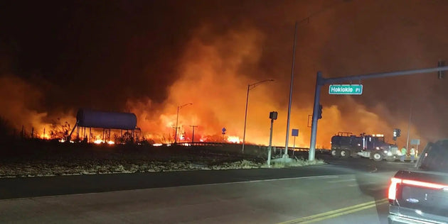 Flash Drought, Hurricane Dora, and Foehn Winds Spark Hawaii Wildfires