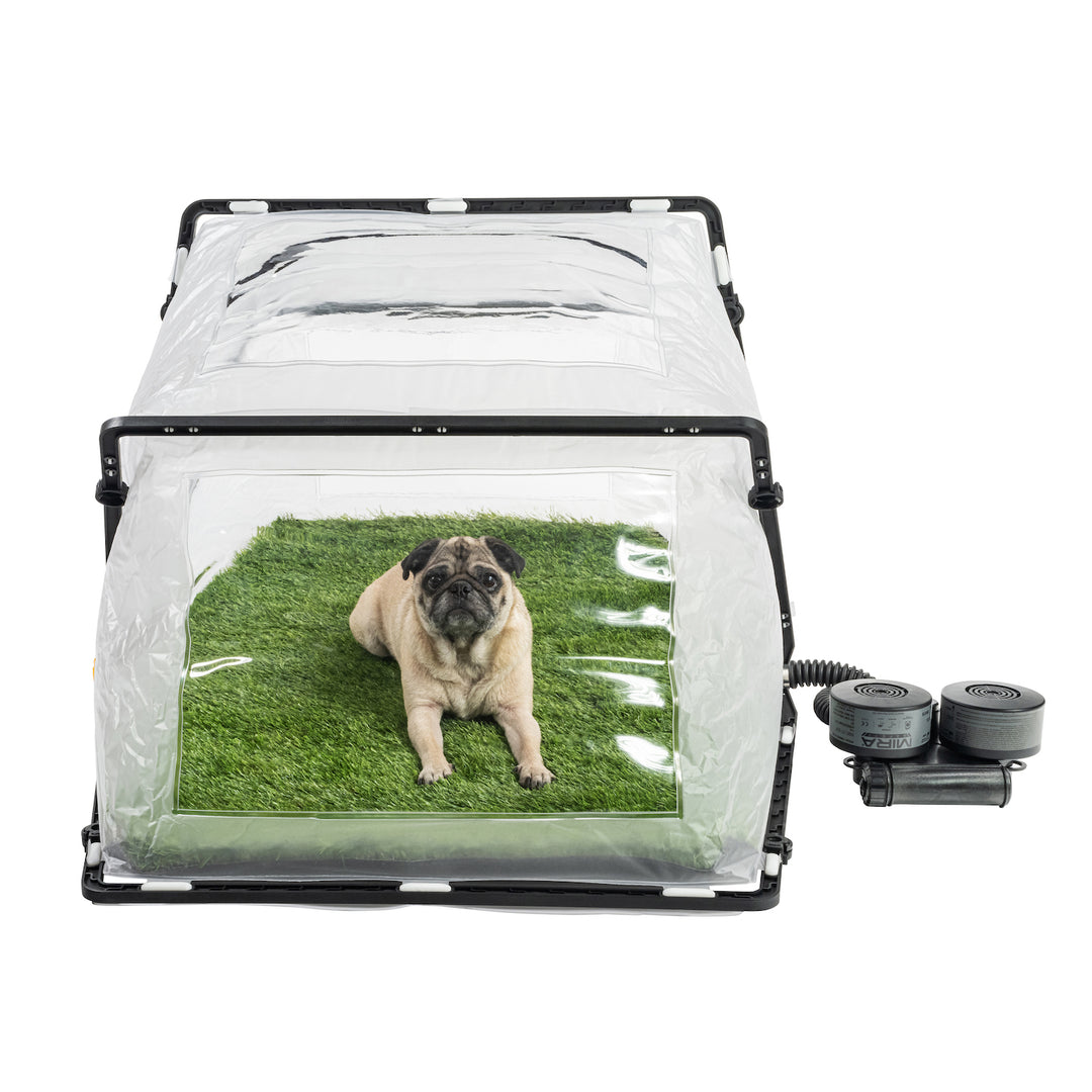 Front view of a pug inside of the CBRN Animal Ark Dog Gas Mask