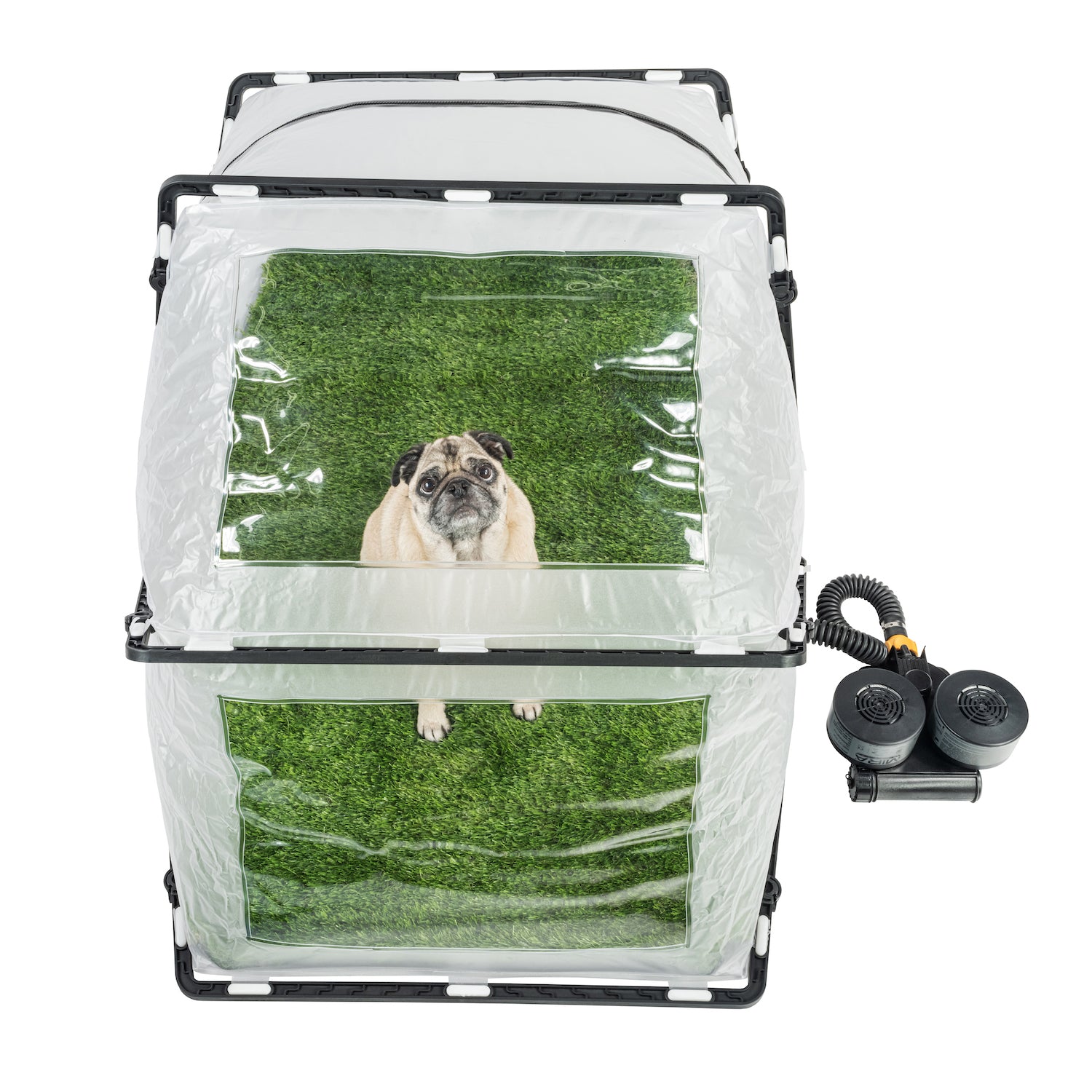 Top view of a pug inside of the CBRN Animal Ark Dog Gas Mask